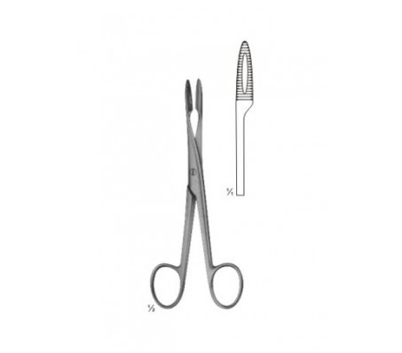 Forceps